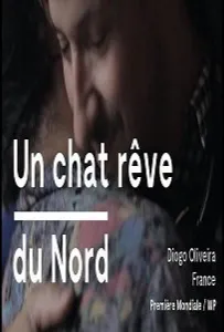 Кот, мечтающий о севере (фильм 2020)