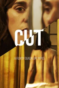 Снято! (фильм 2020)