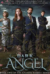 Тёмный ангел (фильм 2019)