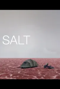 Соль (фильм 2009)