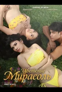 Цветение Мирасоль (фильм 2025)
